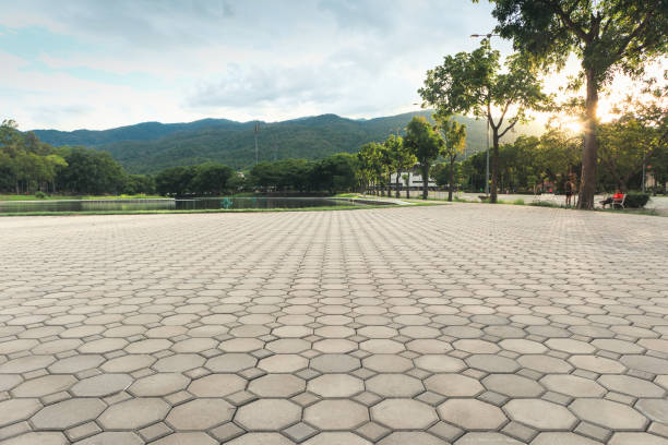 Best Professional Driveway Pavers  in Delisle, MS
